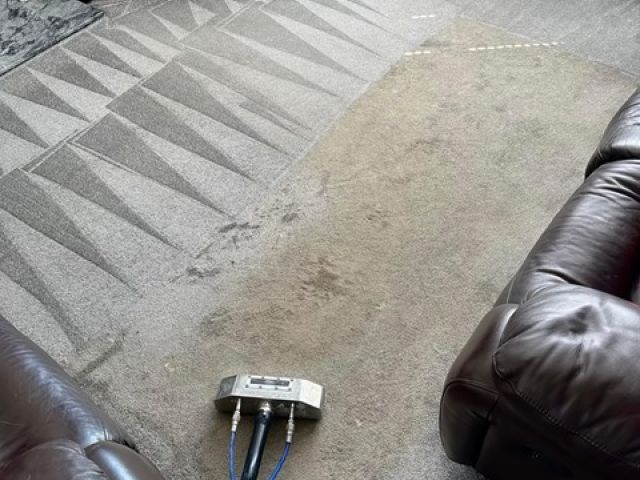 carpet-cleaning-kireth-ai (19)
